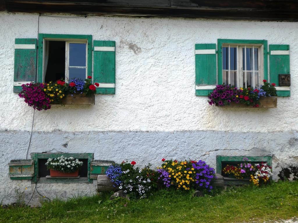 Windrauchegg Alm - 2018